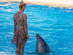 Waterfront Kingdom Show