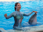 Waterfront Kingdom Show