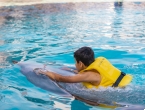 Dolphin Private